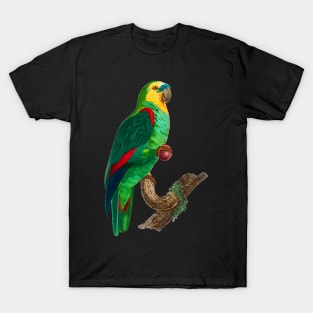 Black Panther Art - Beautiful Parrot 17 T-Shirt